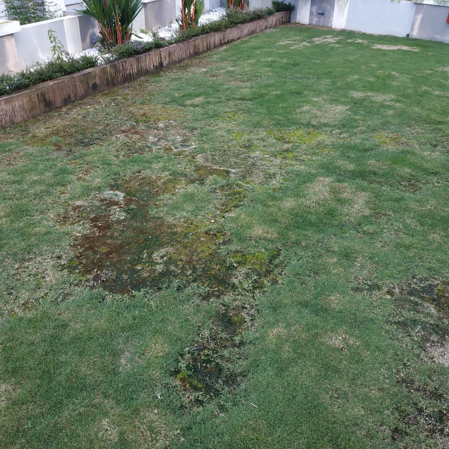Before lawn care